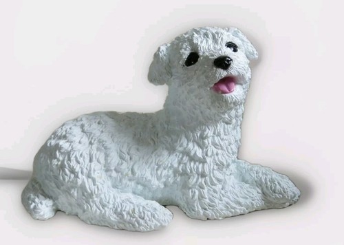 Lovely white poodle puppy - white, by
