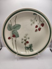 Wedgwood Raspberry Cane -