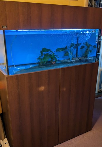 Fish tank aquarium 200 litre - fish,