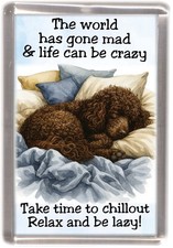 Irish Water Spaniel Dog Fridge