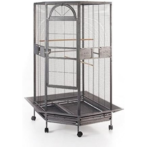 Parrot escape jumbo - parrot, corner
