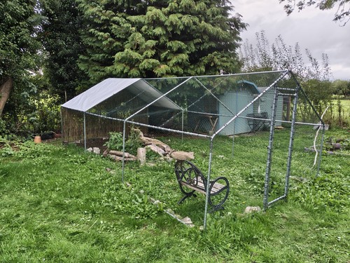 Large walk in chicken - 3m,