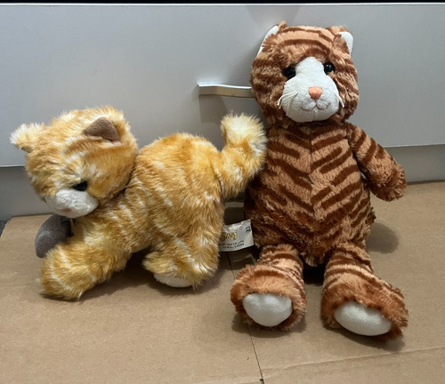 Ginger orange tabby striped - 2x,