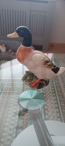 Pottery mallard duck - pottery,