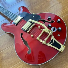 Electric Guitar left customize