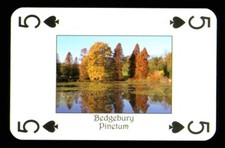 1 x playing card Sussex Bedgebury Pinetum - 5 of Spades P04