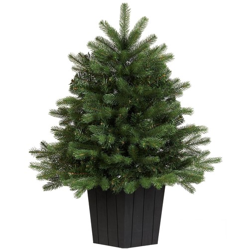 Traditional potted christmas - traditional,