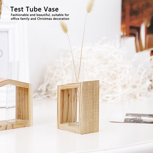 Tube glass vase hydroponic - glass,