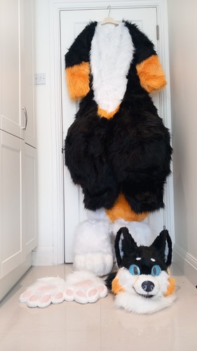 Full fursuit fullsuit - fursuit, canine