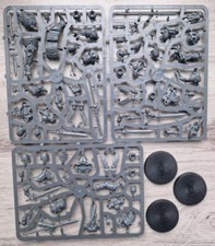 40K 3 Sanguinary Guard Brand