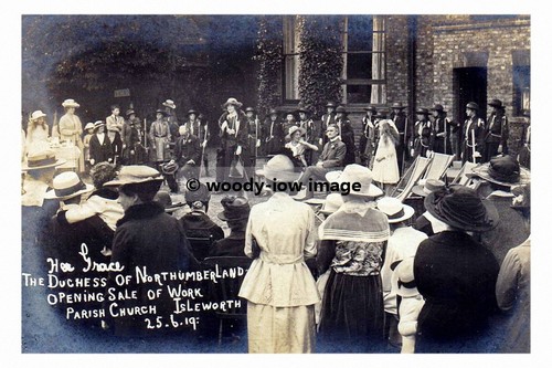 Rp17479 duchess of - rp17479,