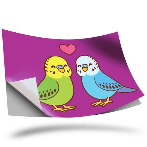 Vinyl sticker budgie couple - sticker,