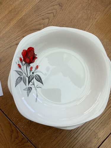 Red rose vintage midwinter - rose,