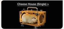 Guinea Pig Cheese House, House