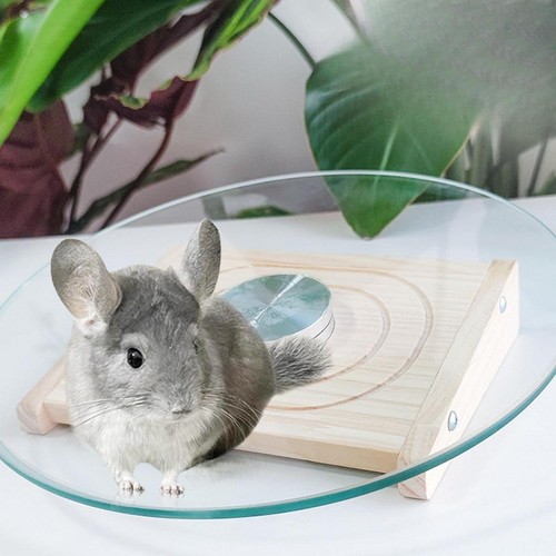 Hamster wheel cage accessories - hamster,