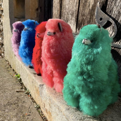 Brightly dyed alpaca soft toy - brightly,