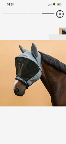 Fouganza horse riding - fouganza,