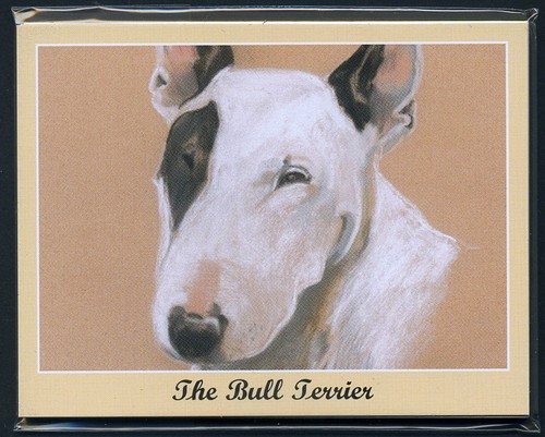 The bull terrier man - bull,
