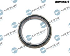 DRM01899 Dr.Motor Automotive