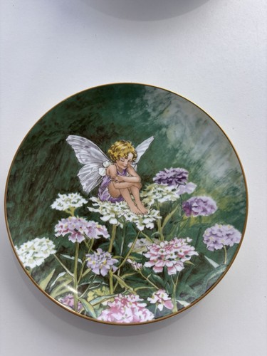 The candytuft fairy collectors - candytuft,
