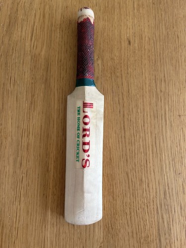 Lords cricket ground mini - cricket,
