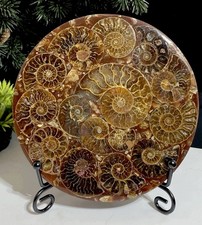 Large 11cm Jurassic Crystal