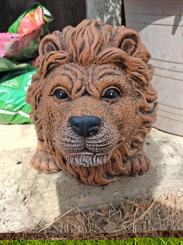 Lion plant pot clay - plant,