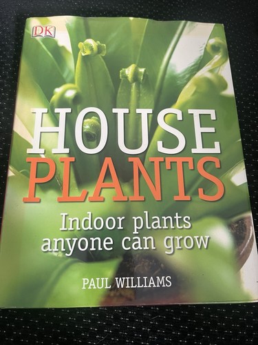 House plants indoor - house,