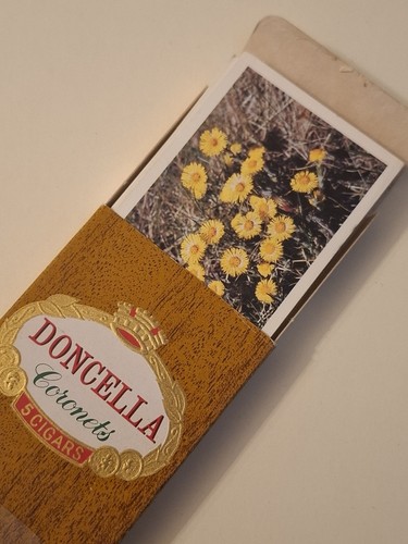 Doncella britains wild flowers - doncella,