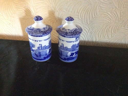 Spode italian spice jar - spice, jar's