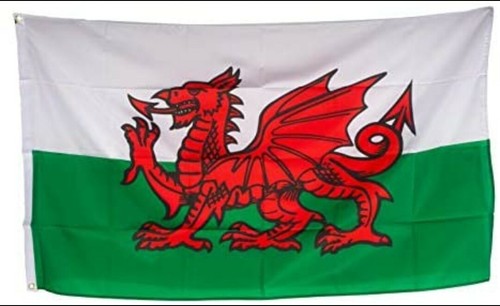 Wales football flag - wales, faw