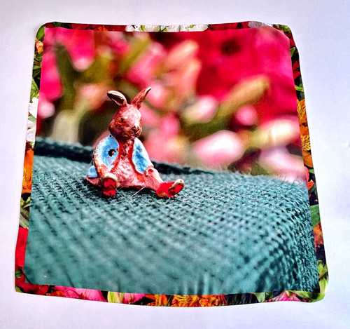 Paul smith peter rabbit 100 - paul,