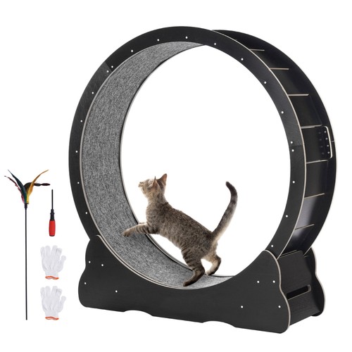 Cat exercise wheel large - cat,