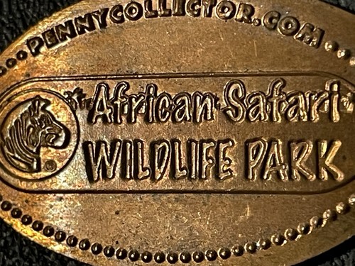African safari wildlife park - safari,