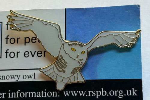 Rspb snowy owl in - owl,