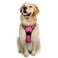 rabbitgoo No-Pull Pet Dog