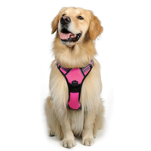Rabbitgoo pull pet dog - no-pull,
