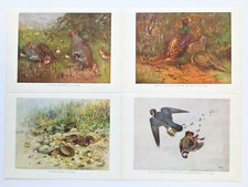 PHEASANT, PARTRIDGE, QUAIL