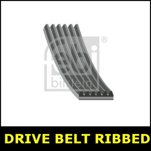 Drive belt fits - drive,