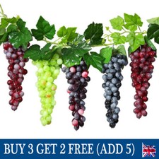 Home Plant Fruit Grape Fake