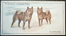 ELKHOUND  Vintage 1925 Illustrated Card  EE04M