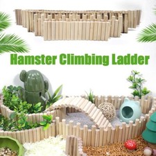 Hamster Climbing Ladder Fence