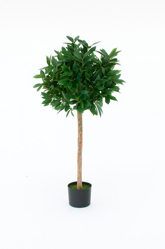 Greenbrokers artificial bay - greenbrokers,