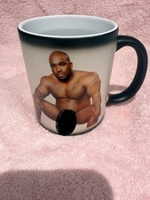 Heat Changing Mug Rude Funny