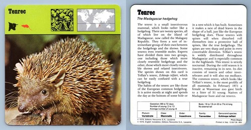 Tenrec mammals 1970 - -,
