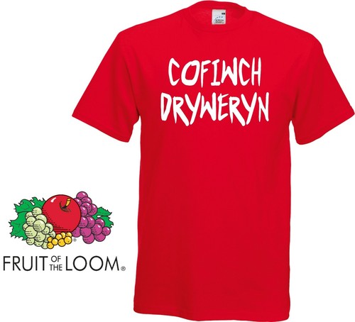 Cofiwch dryweryn remember - cofiwch,