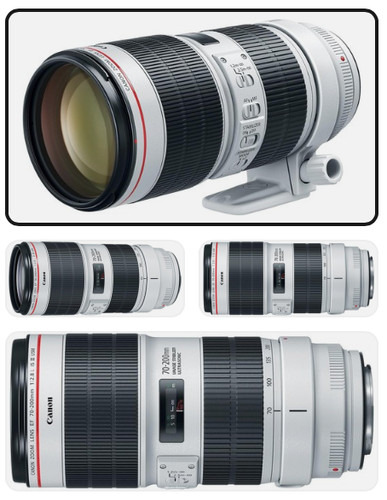 Canon 200mm 8 l - canon, is