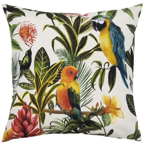 Evans lichfield parrots - evans,