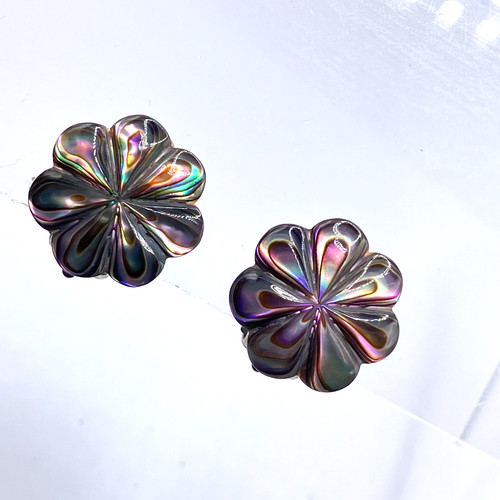 Abalone clip earrings - on,