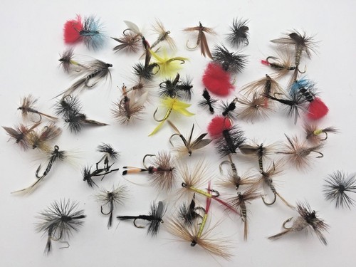 Fly fishing flies dry - flies, box